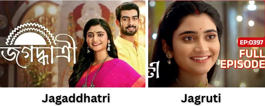 Tv shows of Ankita Mallik